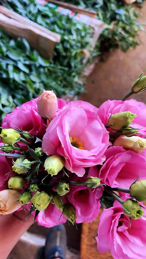 五彩斑斕洋桔梗花 五彩斑斕洋桔梗花