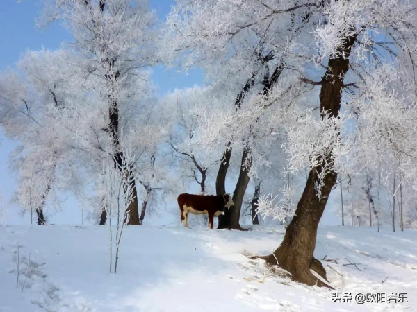 2021年僅剩二十多天,去這10個地方,赴一場久違的旅行吧 2021年僅剩二十多天,去這10個地方,赴一場久違的旅行吧