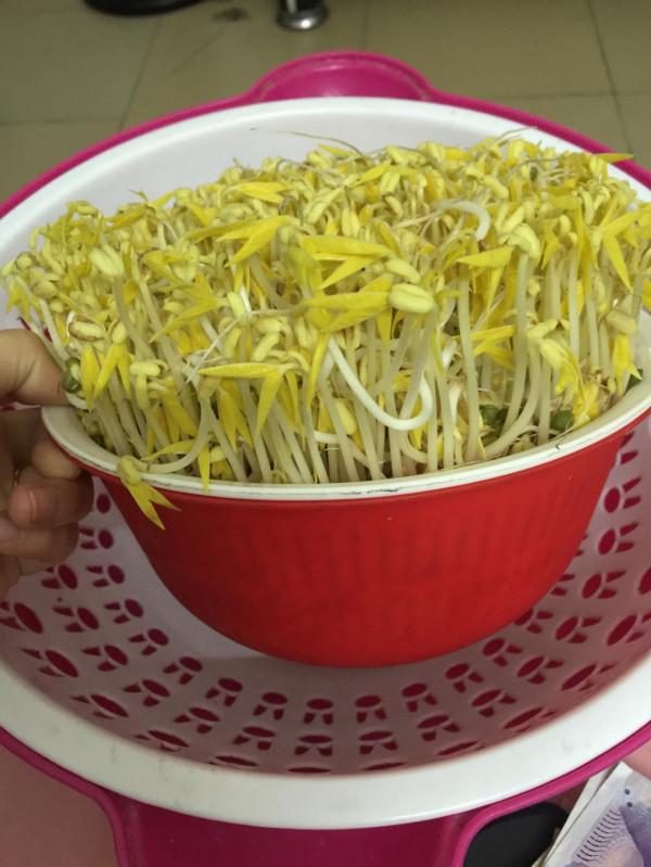 農村10種家常菜,種下去不打藥就有得吃,你家有多少種呢? 農村10種家常菜,種下去不打藥就有得吃,你家有多少種呢?