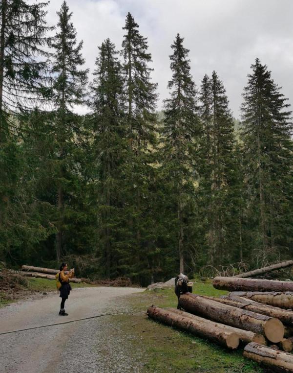 義大利多洛米蒂山區行——徒步奧德勒山