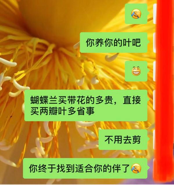 哪來這麼大情緒，處女座這嘴呀