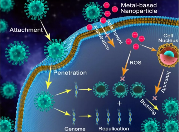 抗菌or抗病毒,門窗人你還傻傻分不清麼? 抗菌or抗病毒,門窗人你還傻傻分不清麼?