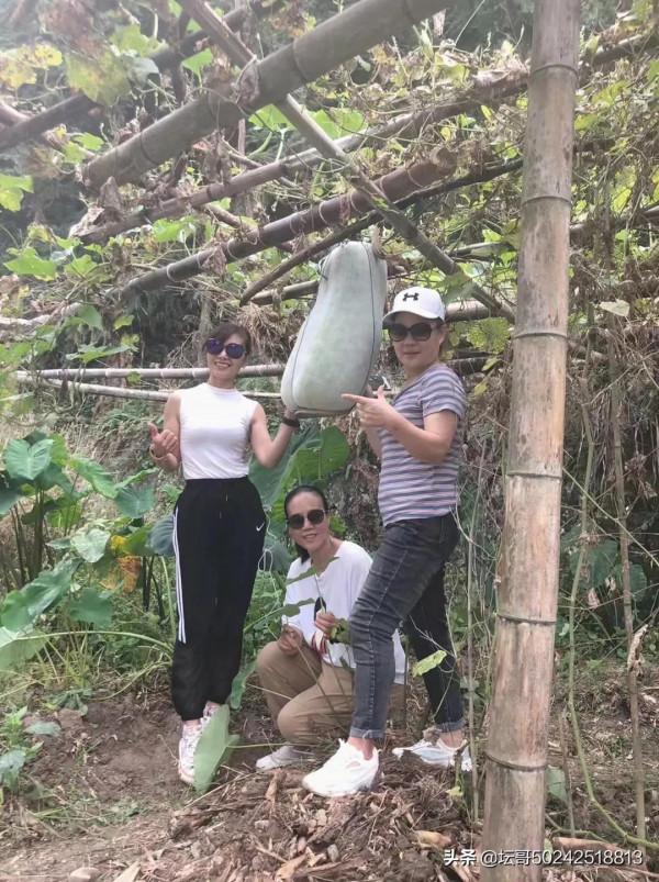 最美風景在路上