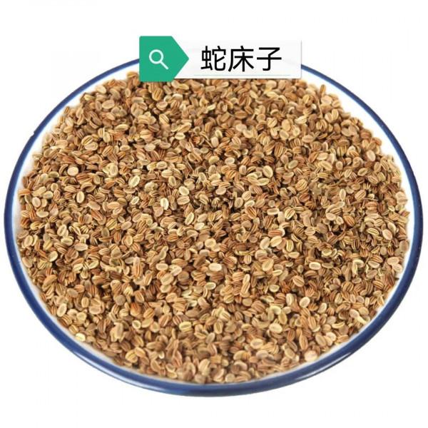 中藥古今研究：蛇床子2