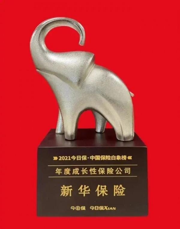2021年度重磅榮譽，新華保險實力見證