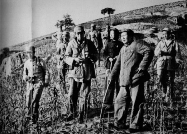 轉戰陝北時，毛主席騎的那匹馬後來怎麼樣了？待遇非常高