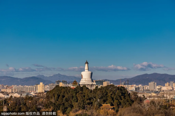 2021的最後這16天，這16件事超值得做！