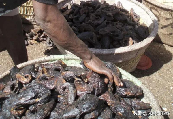 中國小夥逛非洲菜市場的真實感受:食物種類齊全、料理無奇不有 中國小夥逛非洲菜市場的真實感受:食物種類齊全、料理無奇不有