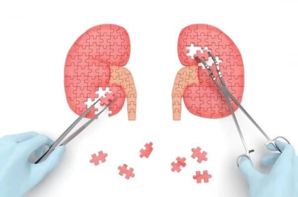 慢性腎病患者,豆類食品該不該吃? 慢性腎病患者,豆類食品該不該吃?