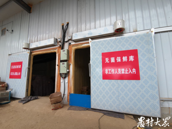 400多萬斤地瓜不愁銷，他們抱團有訣竅