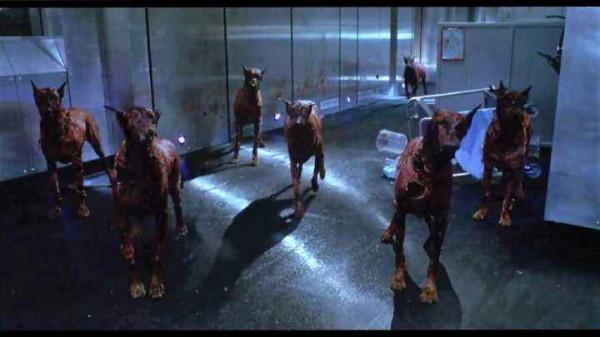 盤點《生化危機》電影中的14種恐怖怪物，喪屍犬僅排第10