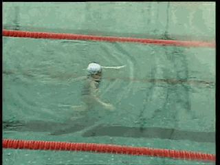 爬泳與仰泳前滾翻轉身的兩個動作要領和五個練習方法