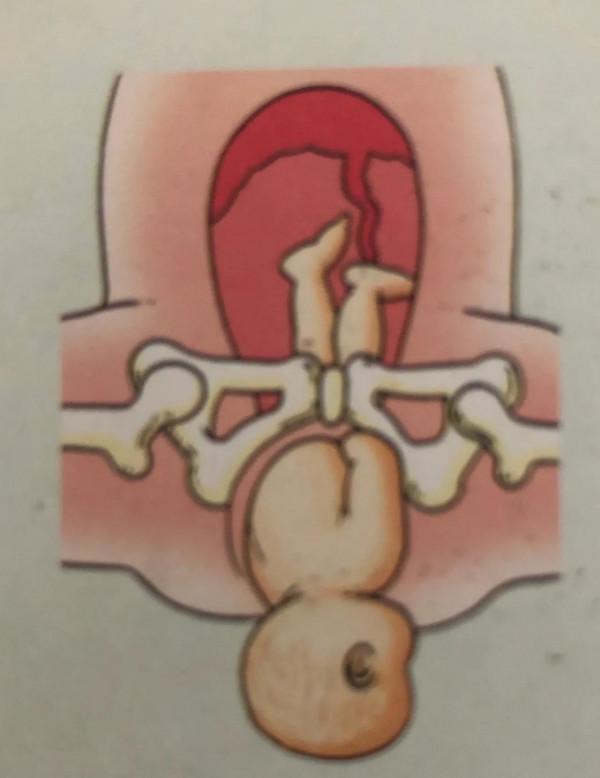 廣東新增育兒假,老公叫我生三胎,我讓他看完這6張圖 廣東新增育兒假,老公叫我生三胎,我讓他看完這6張圖