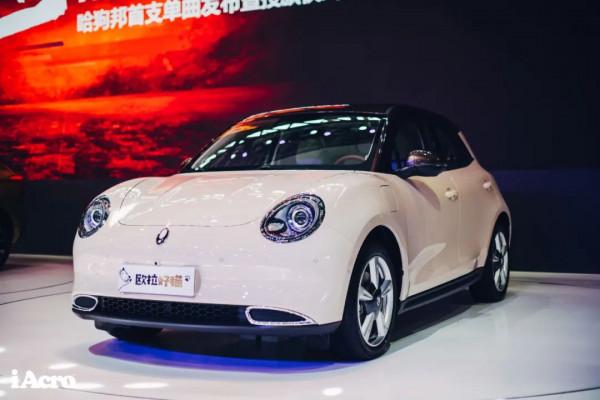 關於好貓“如虎”,你想知道的都在這裡了 關於好貓“如虎”,你想知道的都在這裡了