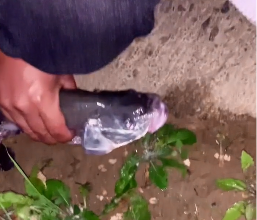 安徽一矛魚人手被鉤扎穿 老虎鉗直接拽掉 網友：三本鉤錨鰱鱅活該