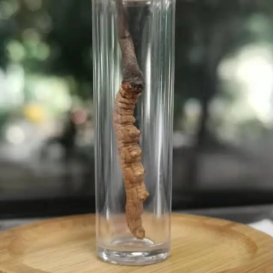 明日大雪,注意保護好這些關鍵部位,黑木耳、黑芝麻、黑豆可以多吃點 明日大雪,注意保護好這些關鍵部位,黑木耳、黑芝麻、黑豆可以多吃點