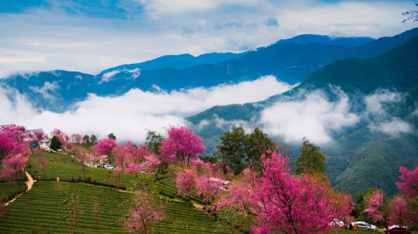 2021年國內旅行時間表出爐！承包你一整年的旅行