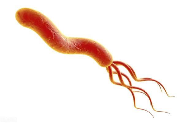 幽門螺桿菌感染的根治方案，快進來看看