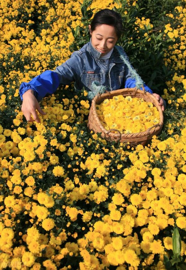 穿越千年,當秋日美景遇上古詩詞,許你一個詩意的山河 穿越千年,當秋日美景遇上古詩詞,許你一個詩意的山河
