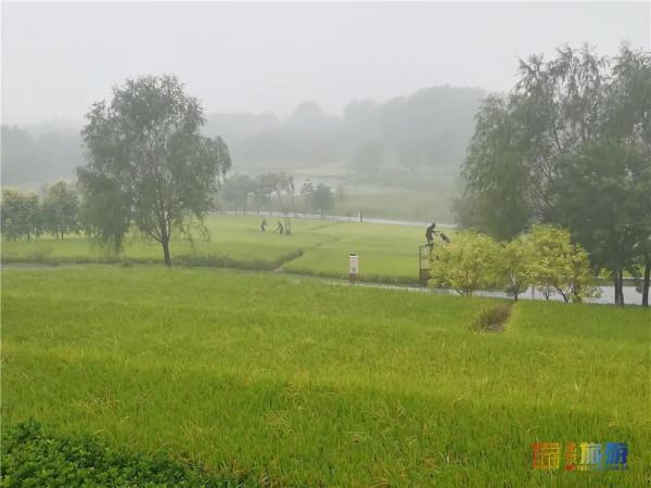 美哭了！不用去雲貴高原，在北京就能欣賞到的超美梯田，還免門票~