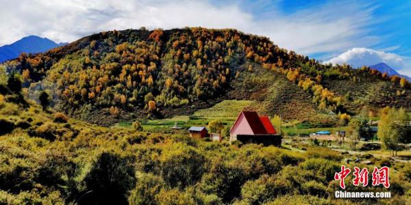 “高原綠色明珠”成金色世界 “高原綠色明珠”成金色世界