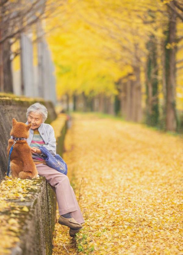 你有多久沒有回家看看了