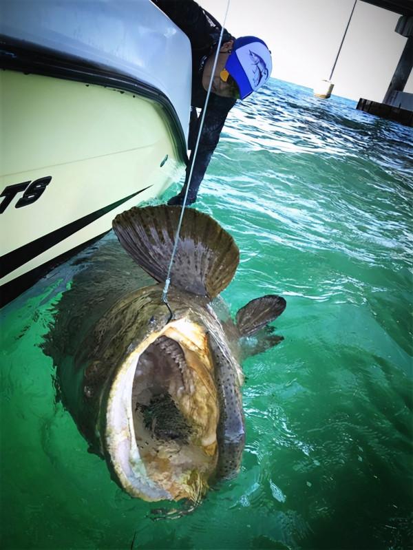 男人為了釣魚能有多瘋狂?在海上漂了10年,解鎖上千魚種成就 男人為了釣魚能有多瘋狂?在海上漂了10年,解鎖上千魚種成就