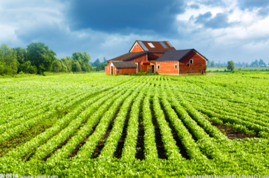 多數農民呼籲重新分地，看看國家怎麼說？