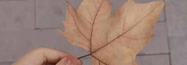 坐錯車和錯過車哪個更遺憾? 坐錯車和錯過車哪個更遺憾?