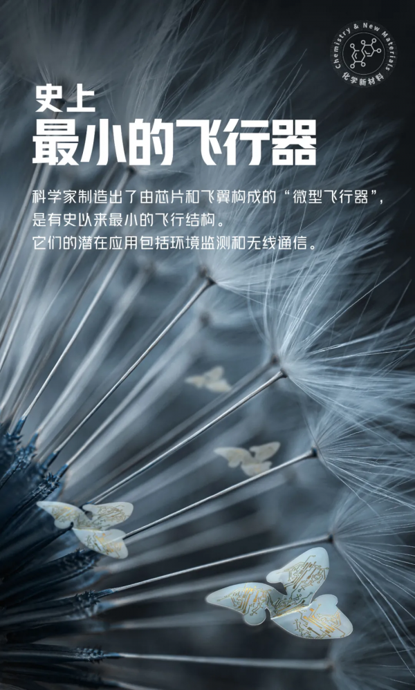 智人的智慧有多強? 智人的智慧有多強?