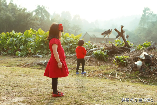 湖南衛視24年：從快樂大本營到百變大咖秀，那些炙手可熱的綜藝