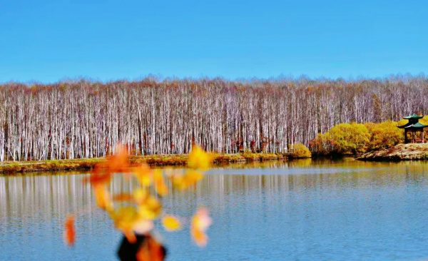 自帶濾鏡！最浪漫的秋天非她莫屬！