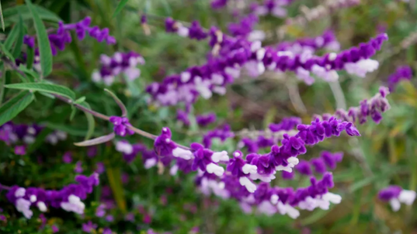 冬天進補，我們到底要補什麼？