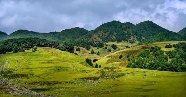 攀西秘境馬鹿寨