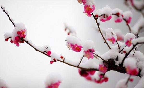 你過來，我告訴你秋冬季植物怎樣養護？