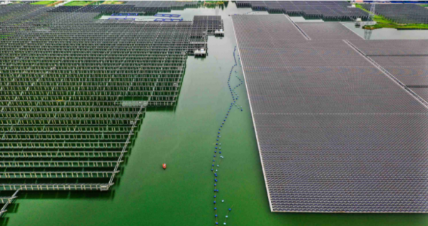 巨資打造百萬畝光伏電站，卻在裡面種草養羊，中國出於什麼考量？