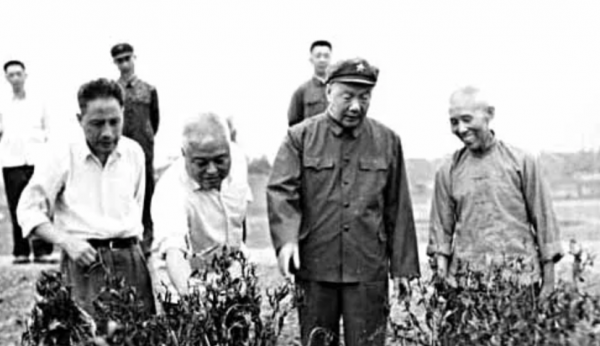 張平化：曾任358旅政委，按資歷能授上將，卻因離開軍隊錯過授銜