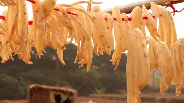 這7種曬乾更香的廉價蔬菜，冬天燉肉特過癮，太香了，放1年也不壞