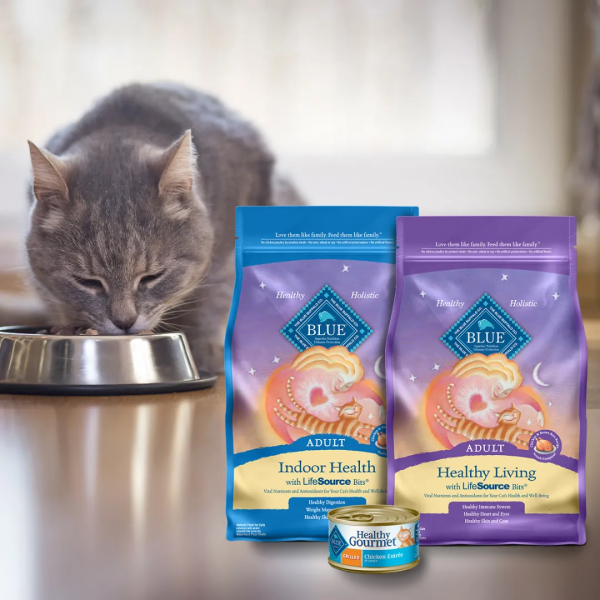 美國寵物糧品牌藍饌Blue Buffalo官宣進入中國,代理商為辰以三 美國寵物糧品牌藍饌Blue Buffalo官宣進入中國,代理商為辰以三