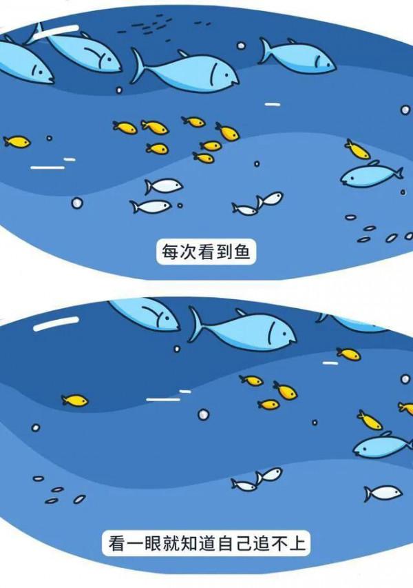 漫畫:努力的人,一般都很狼狽 漫畫:努力的人,一般都很狼狽