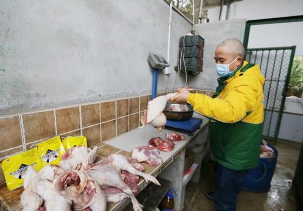 &OpenCurlyDoubleQuote;獸王之父&rdquo;夏功華的一天