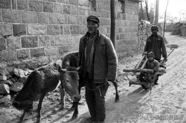 我們是成分高的人家，因母親的睿智，父親躲過了當年的牢獄之災