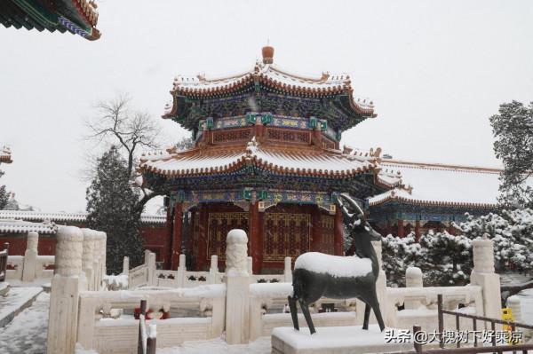 景山壽皇殿，被低估的雪景拍攝地，沒有約到故宮，來這裡
