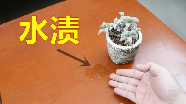 生活知識：家裡的茶几不要長時間擺放3類物品