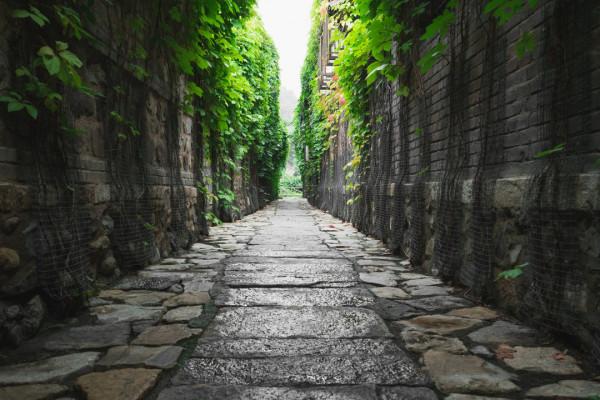 戶外跑:選擇合適的跑步路面,要比裝備更重要 戶外跑:選擇合適的跑步路面,要比裝備更重要