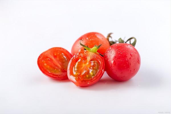 怎樣延緩衰老—長壽的奧秘