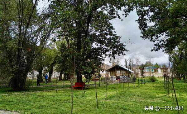 九眼天珠、歐米茄與酷刑!舊西藏貴族有多奢靡殘酷?(多圖) 九眼天珠、歐米茄與酷刑!舊西藏貴族有多奢靡殘酷?(多圖)