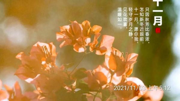 現代詩｜十一月，重溫秋之戀