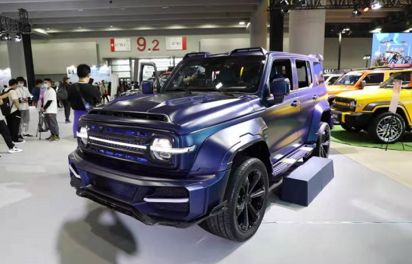 2021年銷量快報：國產車所有榜單均入前五，新能源成最大亮點？