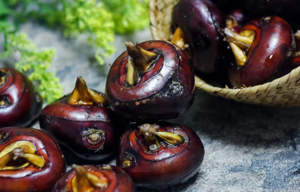 荸薺、藕等這4種常見的蔬菜,警惕寄生蟲!孩子尤其要小心 荸薺、藕等這4種常見的蔬菜,警惕寄生蟲!孩子尤其要小心